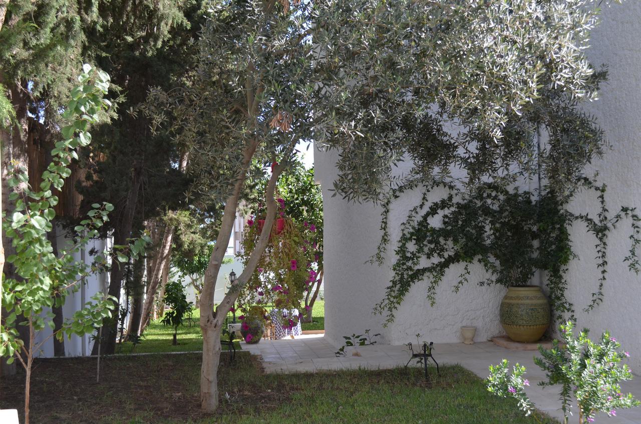 Dar Salama Μπιζέρτα Εξωτερικό φωτογραφία